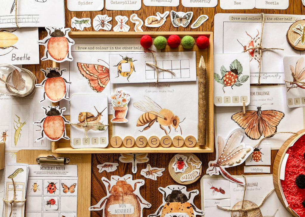 desk showing all natures insects for early learning that has cut outs, flashcards, butterflies, bees, memory match game for kids