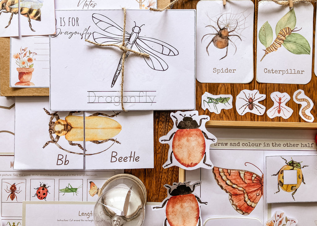 close up image of spider, caterpillar, dragonfly, beetle, lady bug early learning education packet for kids 