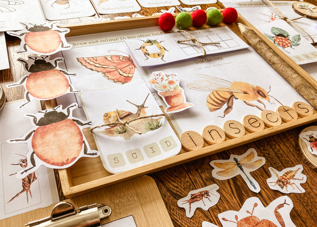 close up image of snailsr, bugs, dragonfly, beetle, lady bug early learning education packet for children